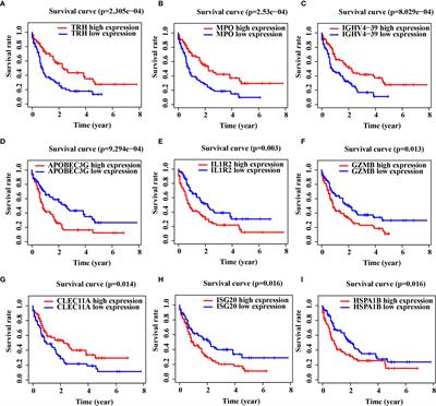 Frontiers Development And Validation Of A Novel Prognostic Model For